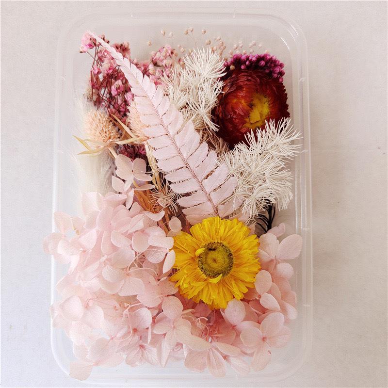 Kit DIY Fleur Éternelle: Cadre photo de fleurs séchées, éventail rond, bouteille flottante, composition florale réelle pour la décoration du salon ou de la maternelle.