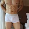 Herren Unterwäsche Slips Shorts Bikini Hosen Boxer Hi-Q Sexy Herren Unterhosen Atmungsaktiv