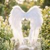 Angelic Angel Wings Layered Feathered Transparent Costume Accessory