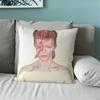 Federa Singer D-David B-Bowie per Divano Letto Comodino Camera da Letto Schienale Soggiorno Ufficio Cuscino Quadrato Stampato Multiplo