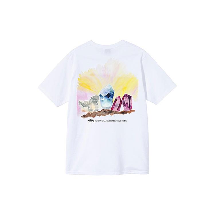 Stussy Higher State Tee Unisex 1904709