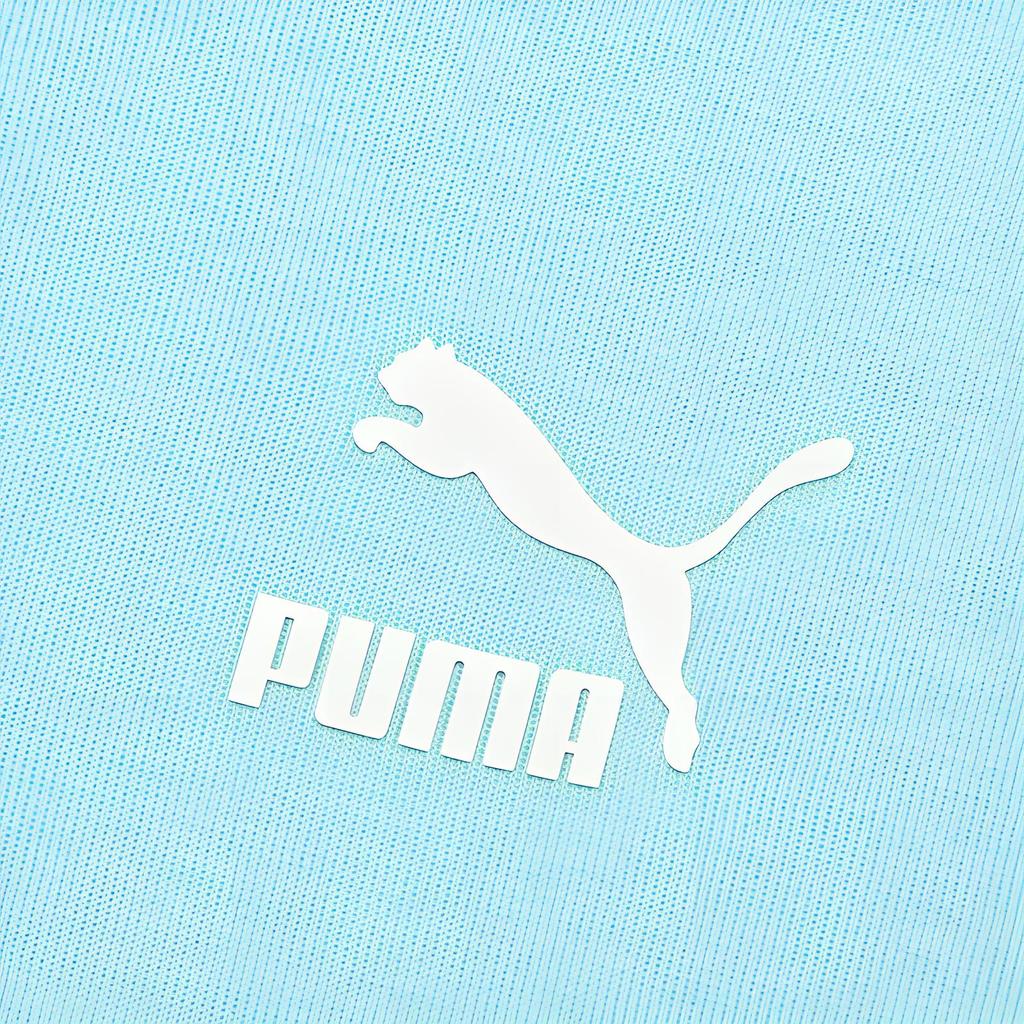 Puma Color Block Hooded Sweatshirt Women Tops Aruba-Blue 532184-33