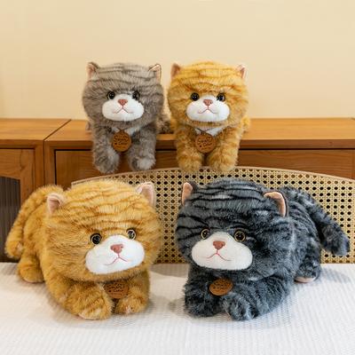 Cute Lazy Pattern Cat Plush Toy Cute Pet Home Decoration Office Doll Night Market Circle Gift