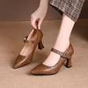 New Spring and Autumn Fashion Shallow Single Shoes Women's Soft Leather Mary Jane Women's Shoes Pointed Leather Shoes Thick Heel High Heels