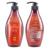 Tea Seed Oil Control Anti-Dandruff Shampoo