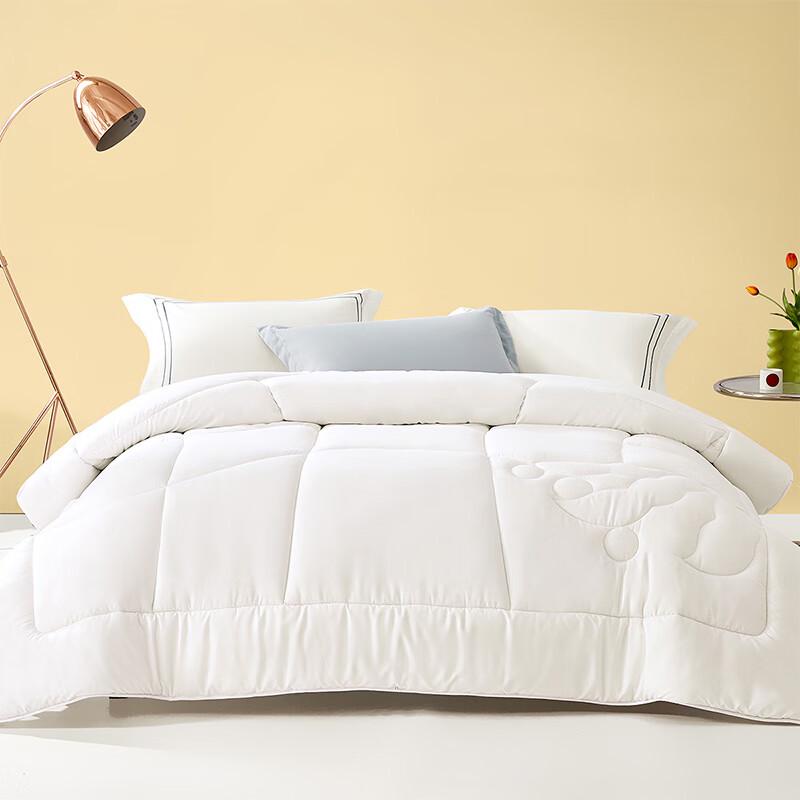 

BLISS Cozy Winter Duvet