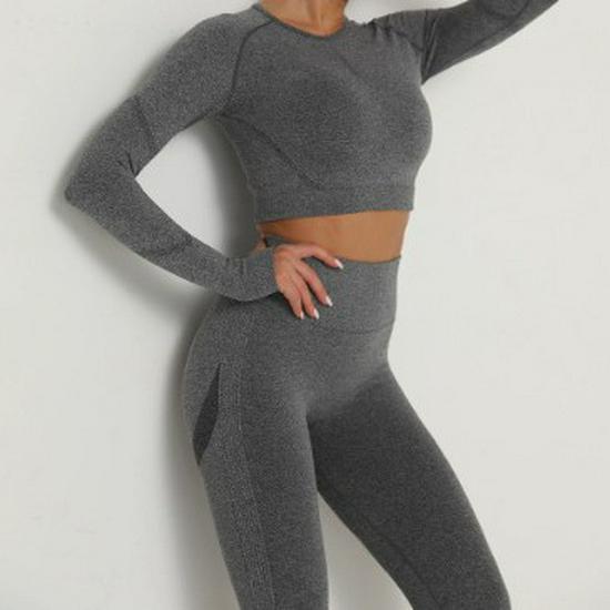 European & American Seamless Long-Sleeve Quick-Dry Yoga Top