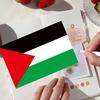 Palestine Flag with 2 Brass Grommets Vivid Color Polyester Double Stitched Colorfast Country Flag