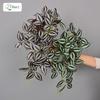 Medium-Sized Hanging Green Eye Leaf Plant for Indoor Home and Wedding Decoration