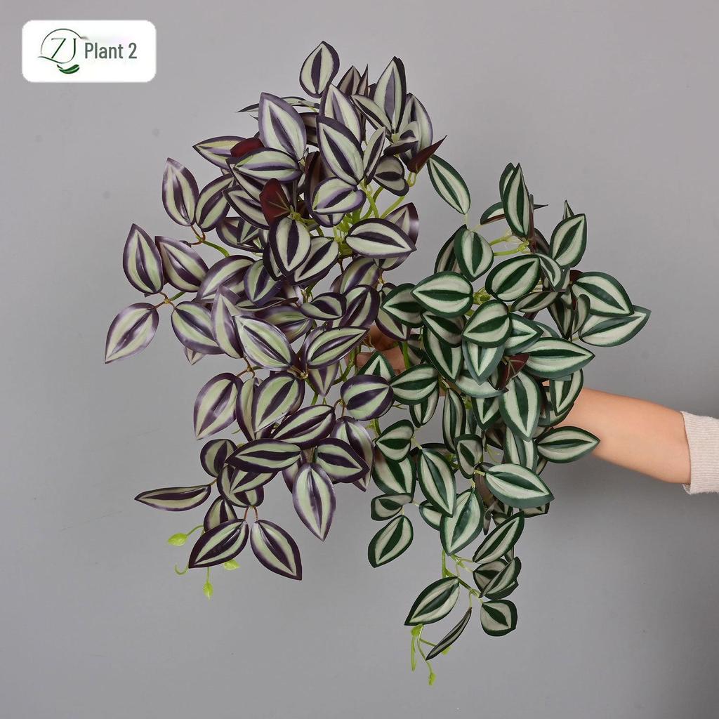 Medium-Sized Hanging Green Eye Leaf Plant for Indoor Home and Wedding Decoration