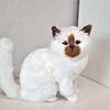 New Lifelike Cat Plush Toys Persian Cat and Tabby Cat Simulated Cat Doll Cute Sitting Cat Animal Plush Model Decor Ornaments