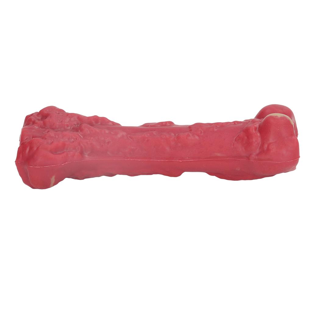 Dog Chew Toy Puppy Teething Bone Rubber Teether Squeaky Comfortable Chewing for Pet Chewer