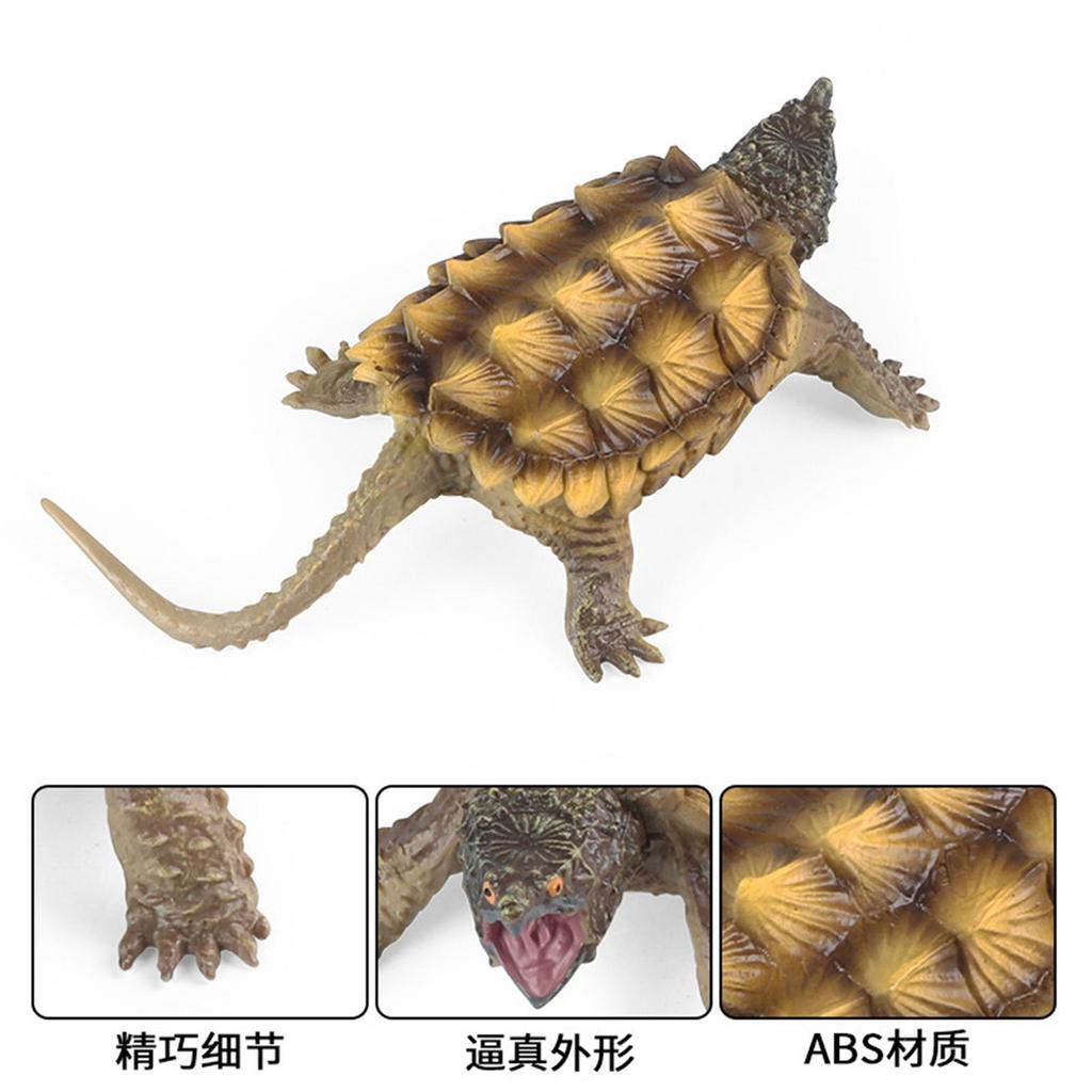 Educational Snapping Turtle Figure Toy Set for Decor Birthday Gift
