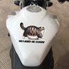 JT132#16X12cm Hilarious Chonk Cat Meme Vinyl Decal - Durable, Weatherproof Sticker for Cars, Laptops