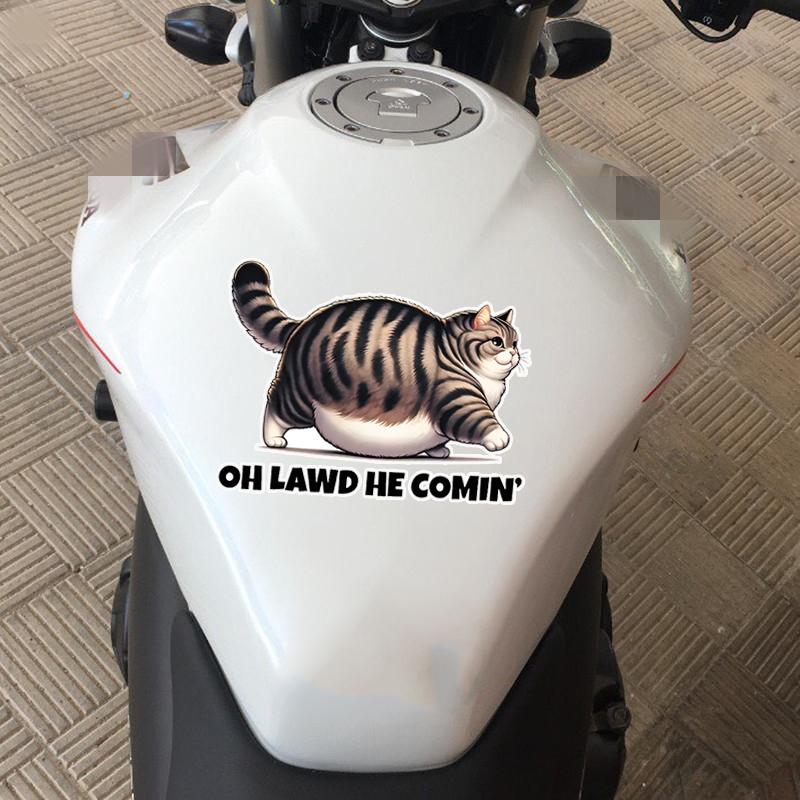 JT132#16X12cm Hilarious Chonk Cat Meme Vinyl Decal - Durable, Weatherproof Sticker for Cars, Laptops