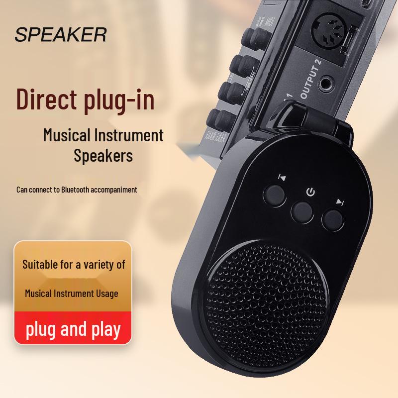 Bluetooth Mini Amplifier Speaker for Electric Wind Instruments with USB Flash Drive