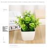 Plastic Artificial Plants Potted 8 Styles Home Garden Decor Grass Plants Pot Ornament Green Bonsai Small Tree