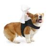 Funny 3D Knight Killers Costume for Dogs Pet Holiday Accessories Halloween Suitable for Cats and Dogs