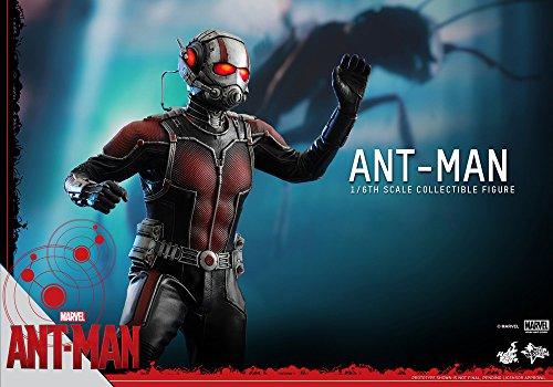 Movie Masterpiece Ant-Man 1/6 Scale Plastic Painted Movable Figure