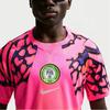 Nike Dri-Fit 2026 Season Nigeria Team Goalkeeper Fan Version Quick-Dry Short Sleeve Football Shirt Men Tops IB5313-645
