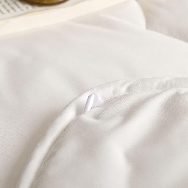 Hongxiu Shifang Soft Winter Quilt