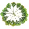Decorațiuni pentru casă – Flori decorative şi coroane de flori