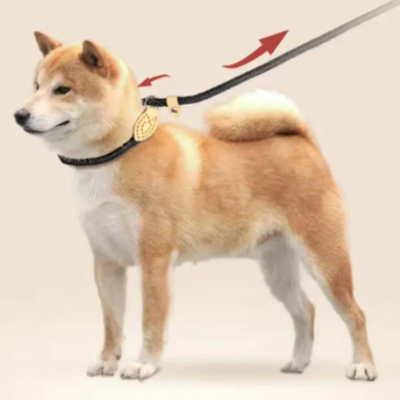 New Dog Leash Slip Rope Lead Leash Heavy Duty Braided Rope Adjustable Loop Collar Training Leashes For Small Medium Dogs