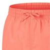 Speedo Mens Logo Swim Shorts