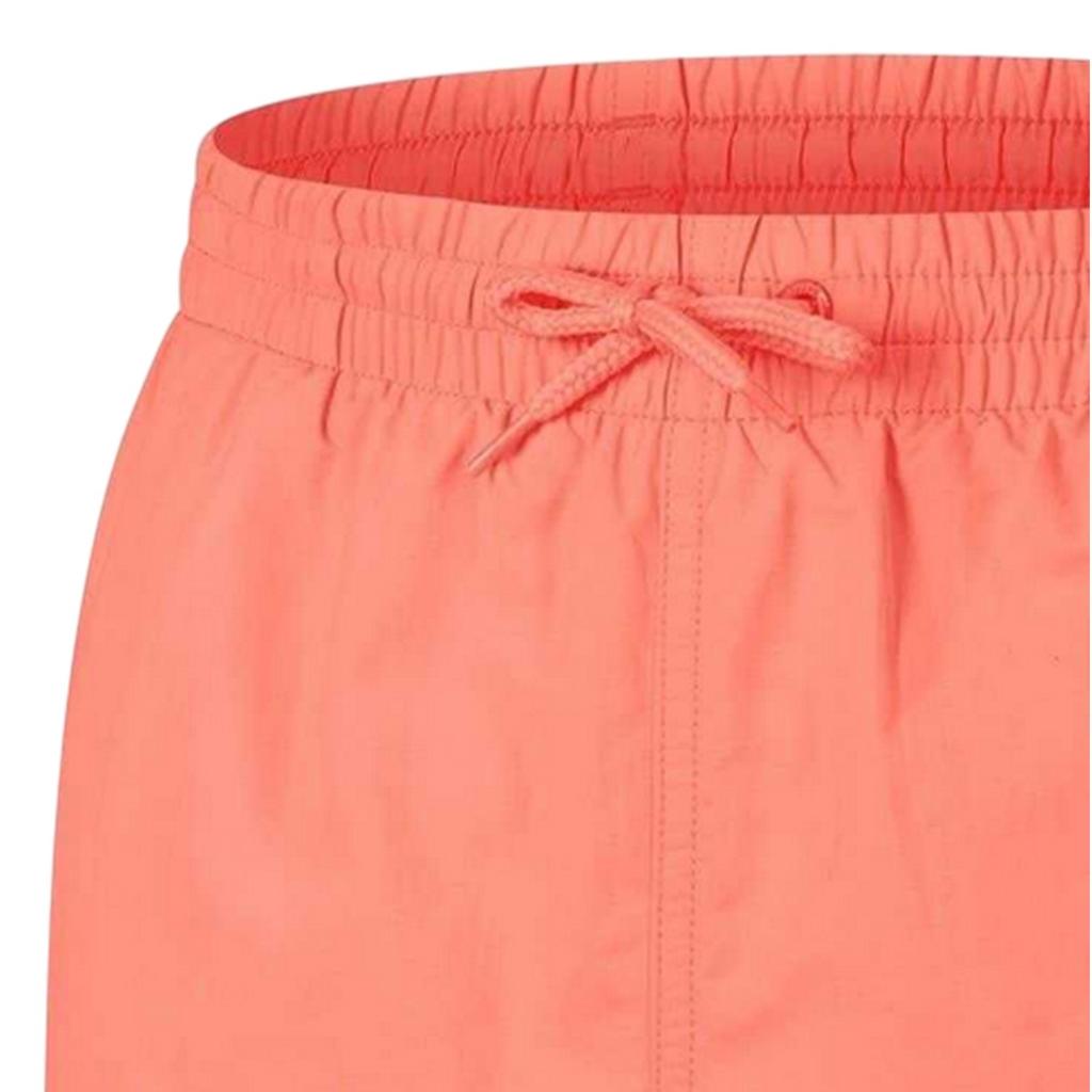 Speedo Mens Logo Swim Shorts