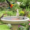 Coppers Cleaning Plate For Birdbaths Eliminates Frequent Maintenance Saves 120 Minutes Monthly
