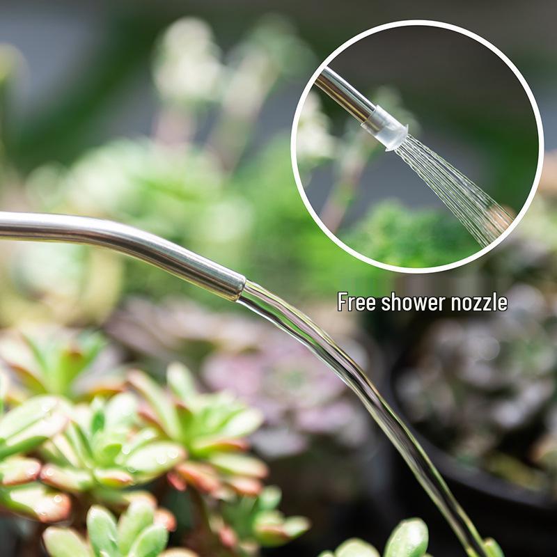Long Spout Watering Can for Green Plants, Bonsai, Succulents, and Flowers – Perfect for Household Gardening