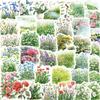 50 Cartoon Watercolor Summer Clip Art Graffiti Stickers Decorative Guitar Notebook Suitcase DIY Waterproof