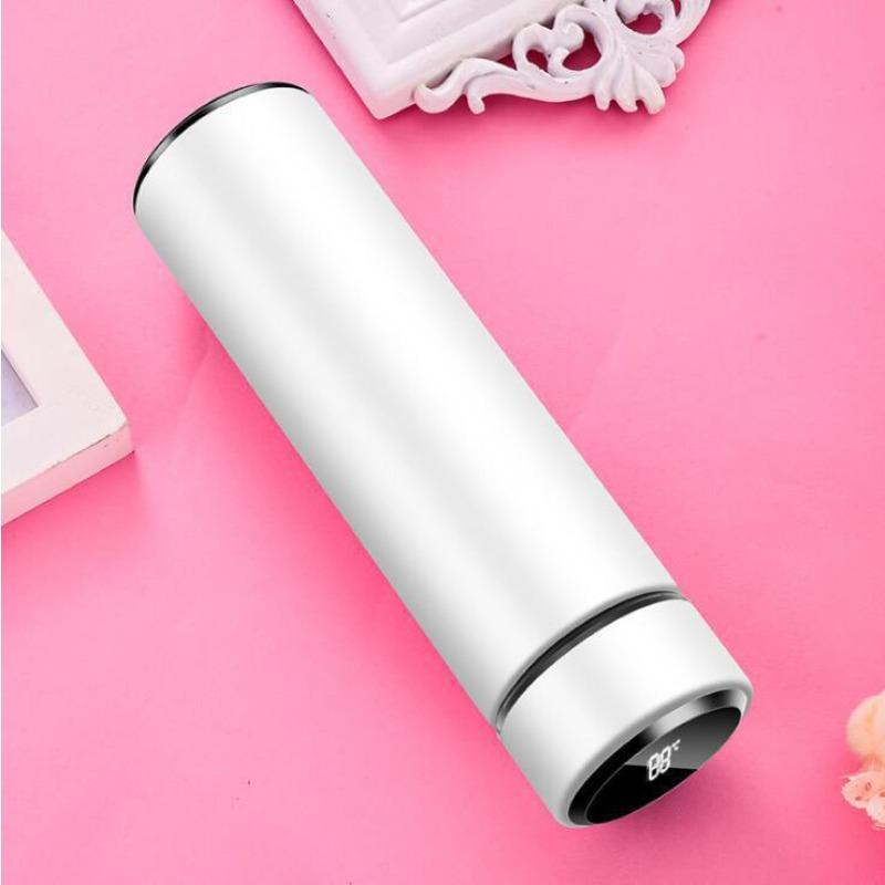 Double-layer Stainless Steel LED Temperature Display Smart Water Bottle with Accurate Readings