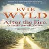 After the Fire A Still Small Voice by Evie Wyld Paperback Book 9780099535836