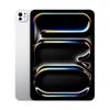 Apple IPad Pro 11 дюймів (2025) з чипом M5 (версія CN)