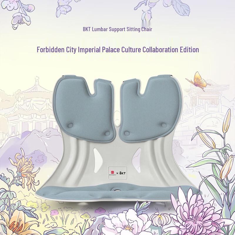 BKT Ergonomic Lumbar Support Chair Cushion