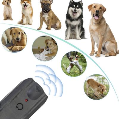 Köpek – Eğitim ve Öğretim Araçları