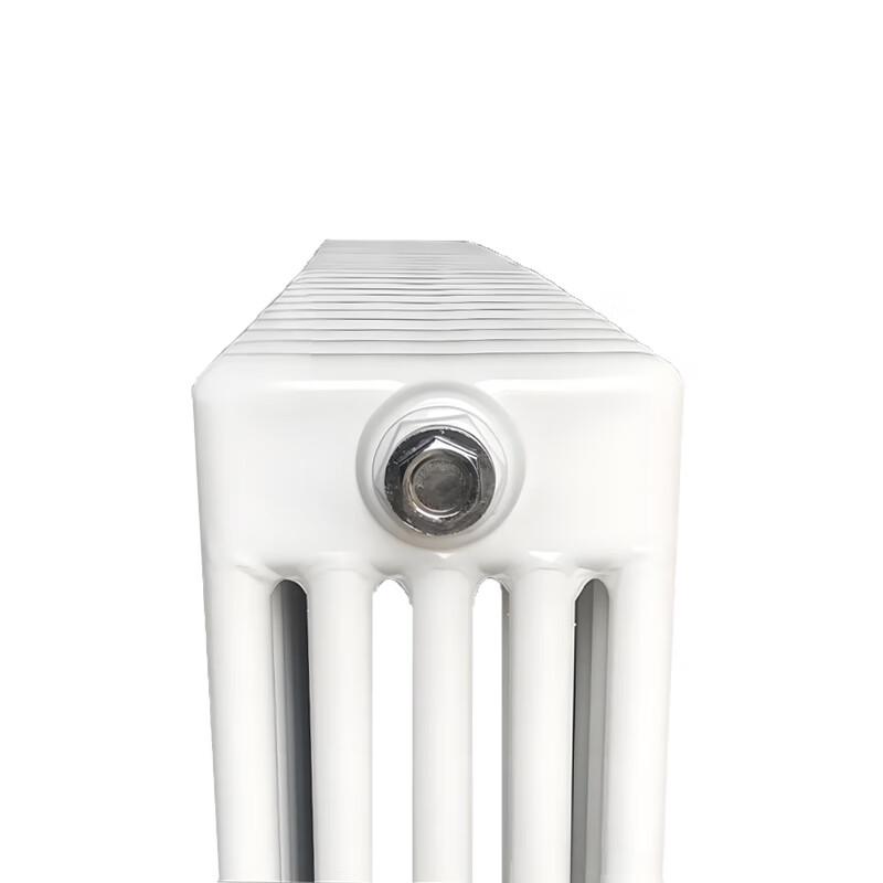 Dongfeier GZ506 Steel Five-Column Hydronic Radiator