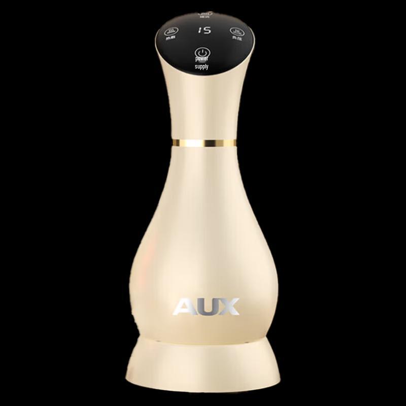 Aux Electric Bianstone Gua Sha Massager with Hot Compress