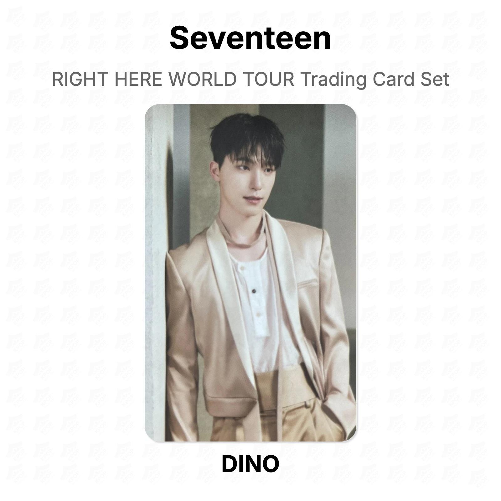 Seventeen RIGHT HERE WORLD TOUR Trading Card Set Official Photocard DINO