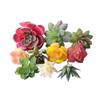 Realistic Fake Succulent Plants for Indoor & Outdoor Wall Decor