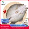 Pesca – Wobblers, iscos e anzóis