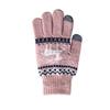 Winter Cold-proof Thin Plush Women's Gloves New Style Wool Plus Velvet Touch Screen Cycling Warm Knitted Gloves