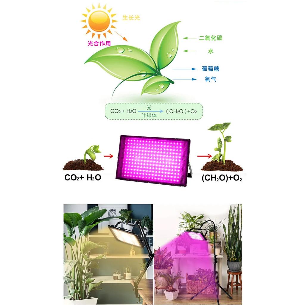 Newest 50/100/200/300W Full Spectrum Plant Growth Light LED Quantum Board Plant Growth Light Seedling Cultivation Fill Light Hot