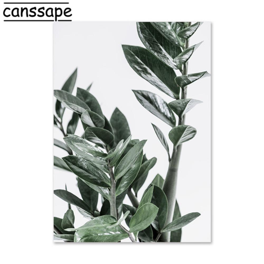 

Природа Настенная Живопись Суккулентные Растения Плакаты Цветы Зеленые Растения Листья Холст Картина Скандинавские Настенные Картины Декор Гостиной 21*30cm No Frame