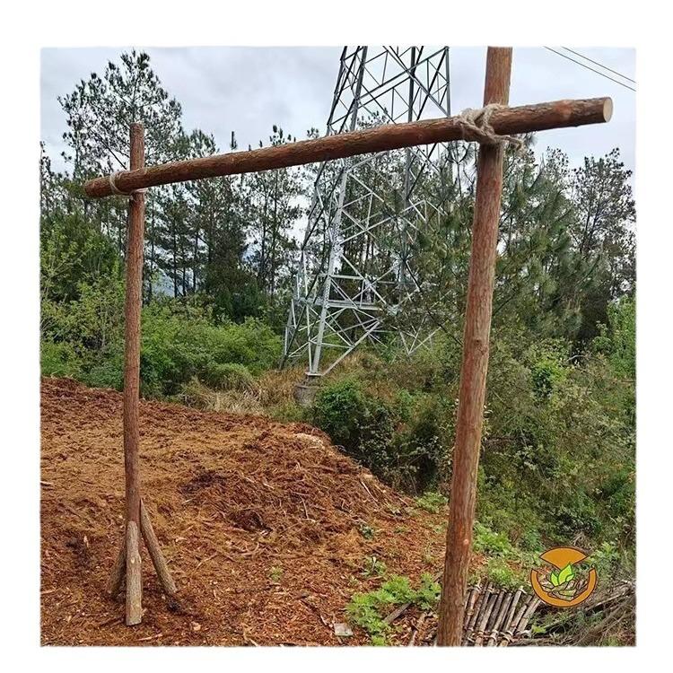 Luxury Wedding Arch Flower Six-Piece Set - 2 Pieces Flower Game 3 Pieces Curtain 1 Arch Suitable For Wedding Diy Decoration