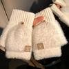 Open Finger Flip Gloves, Plush Gloves, Female, Winter, Cute, Warm, Cold Proof, Writing and Cycling, Thick Touch Screen Gloves, Couple Style