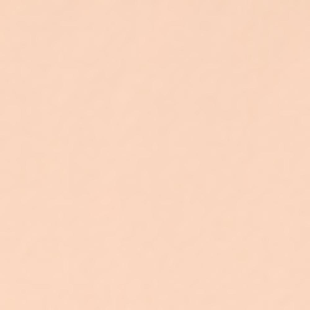 Skinfood Salmon Dark Circle Concealer 10g (Shade 0 / Shade 1 / Shade 2 – Blooming / Beige)