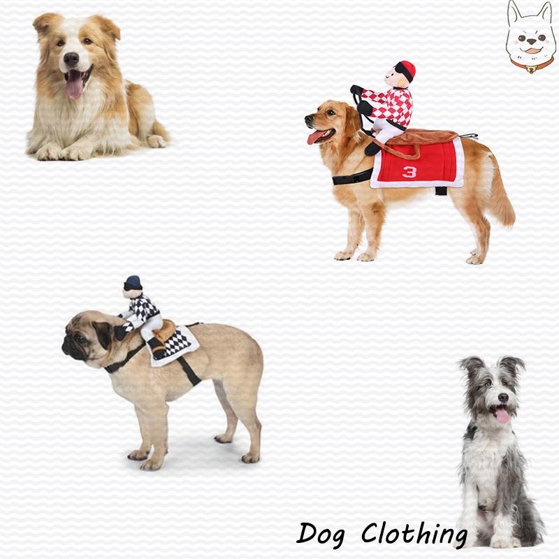Factory Direct Horse Riding Costume For Pets Cosplay Knight Costume For Dogs