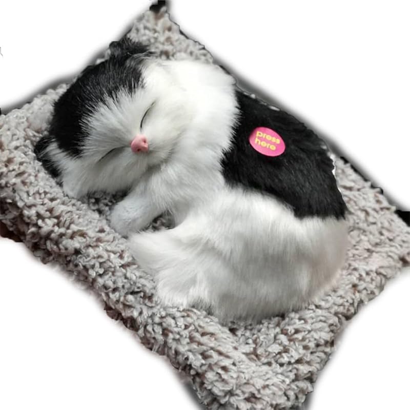 

TOMMYFIELD cat figurine interior cute activated carbon products cat stuffed toy real activated carbon (black) [product]